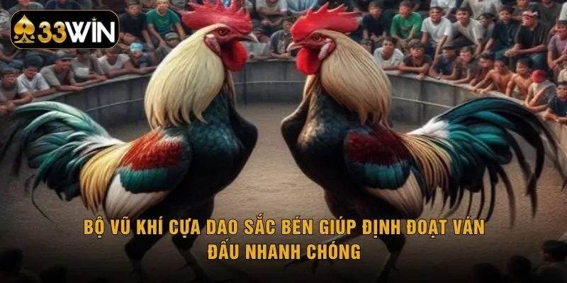 Bộ vũ khí cựa dao sắc bén giúp định đoạt ván đấu nhanh chóng