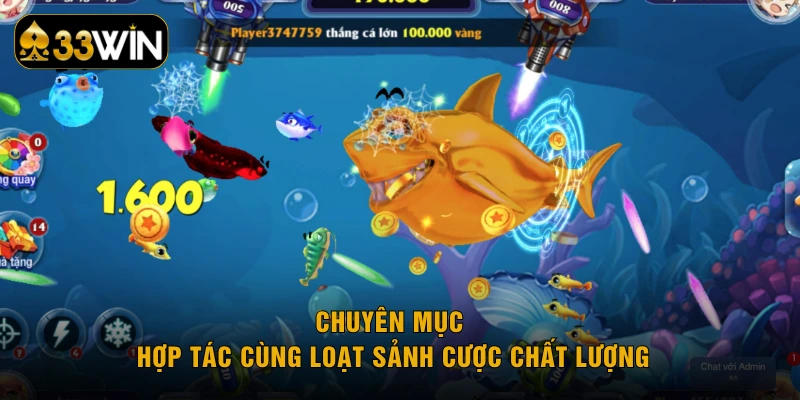Chuyên mục hợp tác cùng loạt sảnh cược chất lượng
