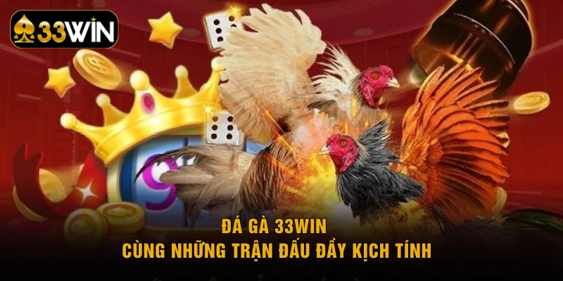 Đá gà 33WIN cùng những trận đấu đầy kịch tính
