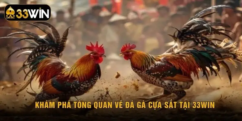 Khám phá tổng quan về đá gà cựa sắt tại 33WIN